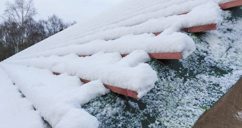 Roof Maintenance Tips