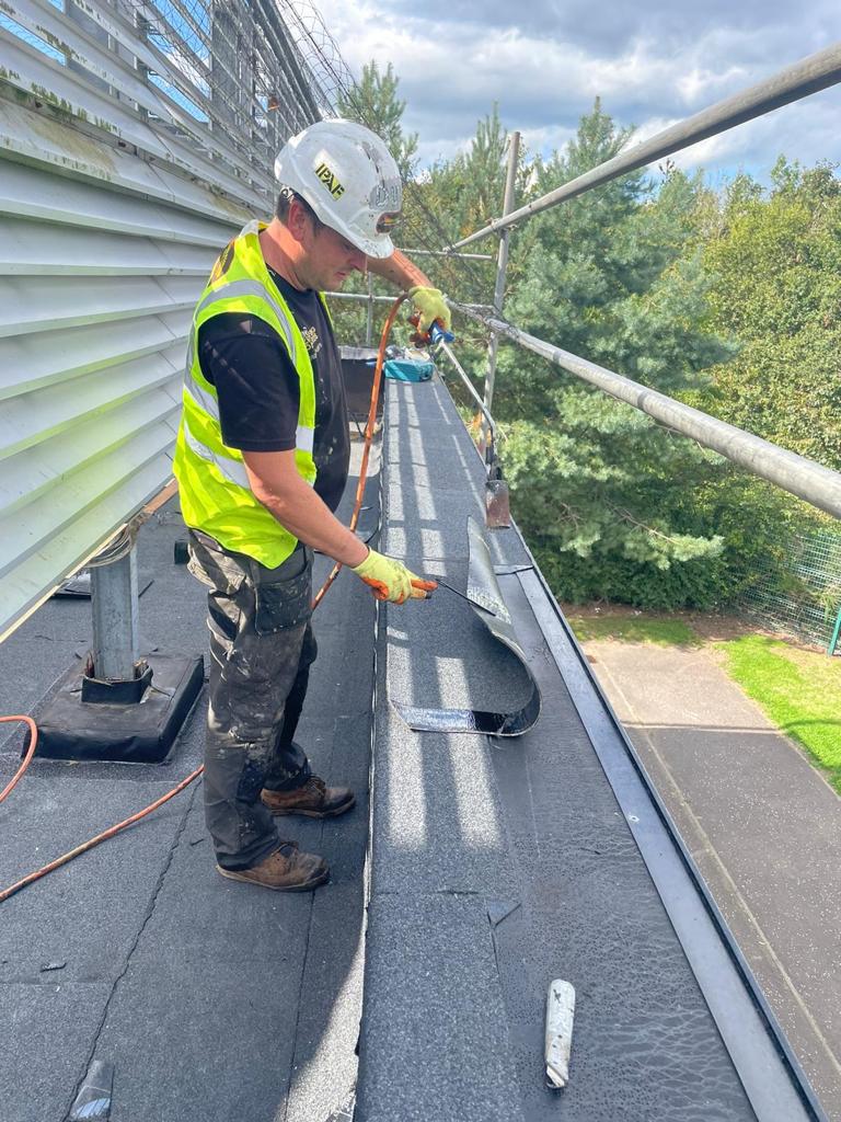 396ad802 12a3 490a 9f7e 7084fad2cb0a